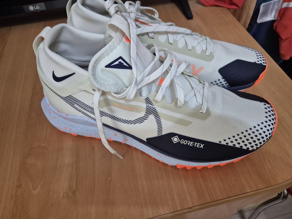 Nike Pegasus Gore tex