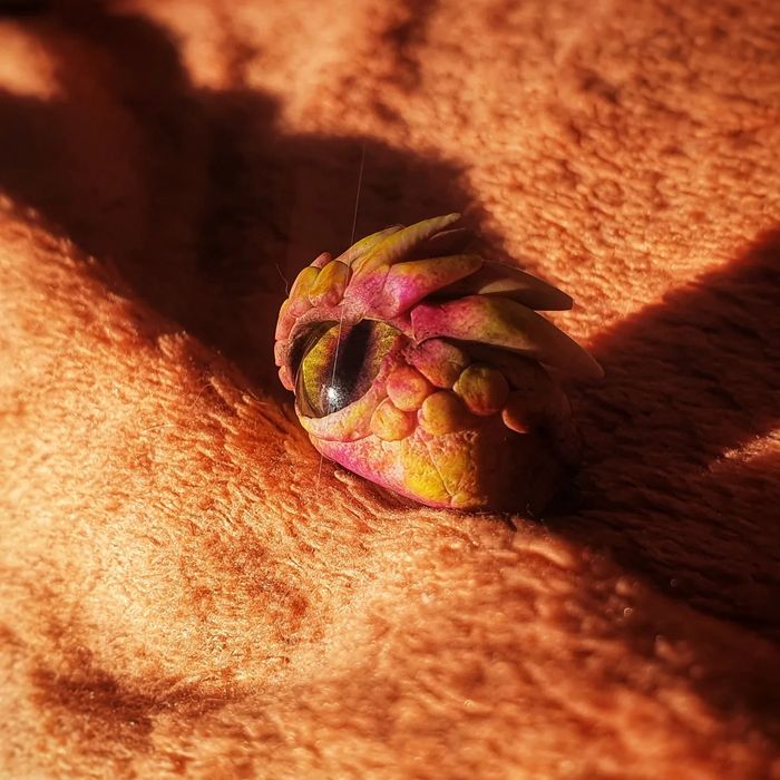 Дредобусины бусины для дред