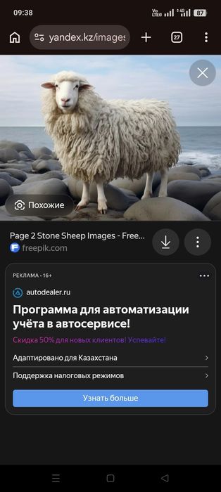 Провдам Баранов пять голов