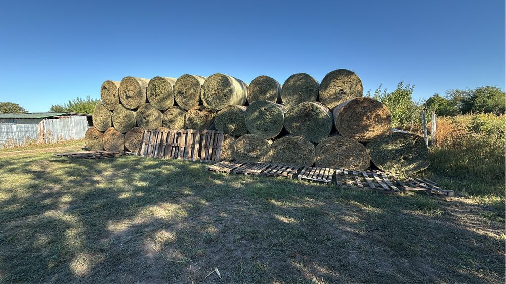 Baloti Lucernă cu Iarbă