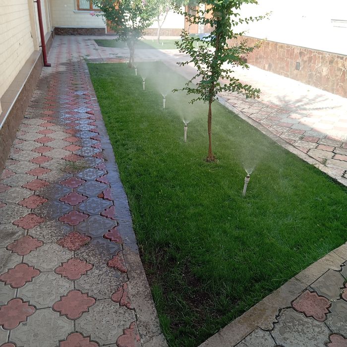 Ot orish archa ekish gazon ekish