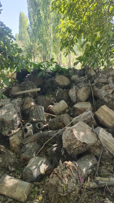 Драва отын драва