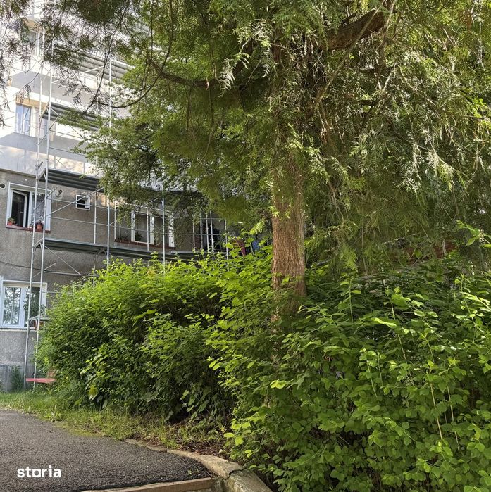 Apartament 2 camere Petrila 8 Martie parter gradina in fata geamului