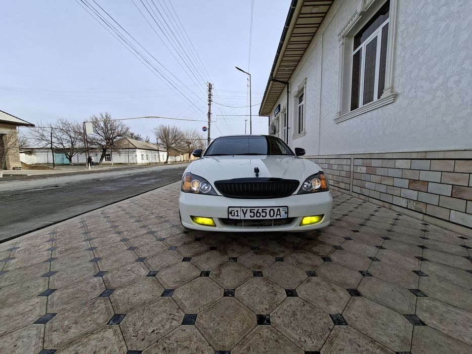 Девоо магнус сотилади