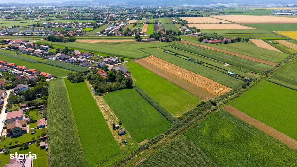 Loturi rezidențiale Cavalului, 500-700 mp, PUZ, utilități, Stupini