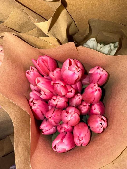 Тюльпаны напрямую с Теплиц Казахстана