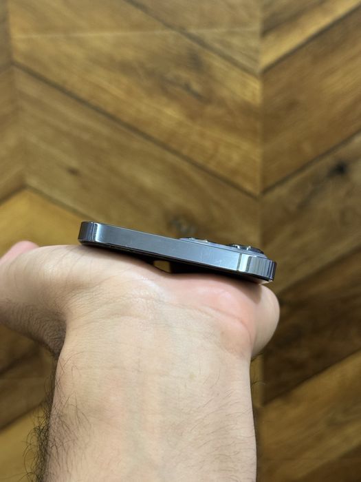 13 Pro Max 256 Gb
