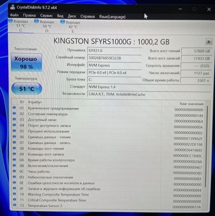 Kingston Fury Renegade 1000Gb