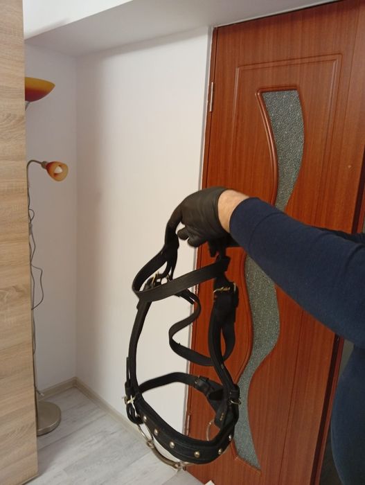 Vând accesorii calarie