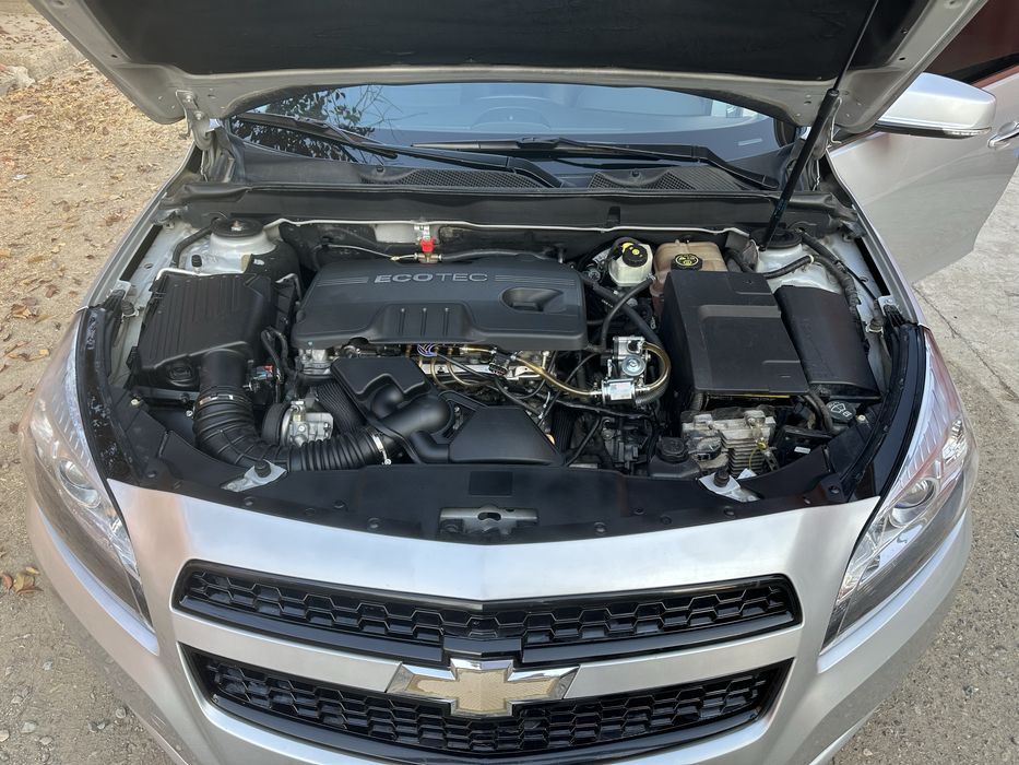 Малибу 1 позеция 2 луюки бор