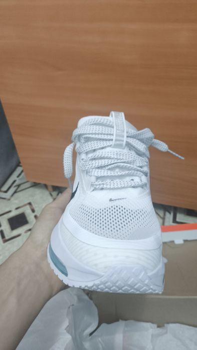 Pegasus Premium новый
