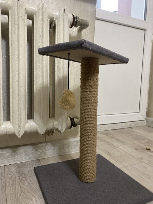 Когтеточка