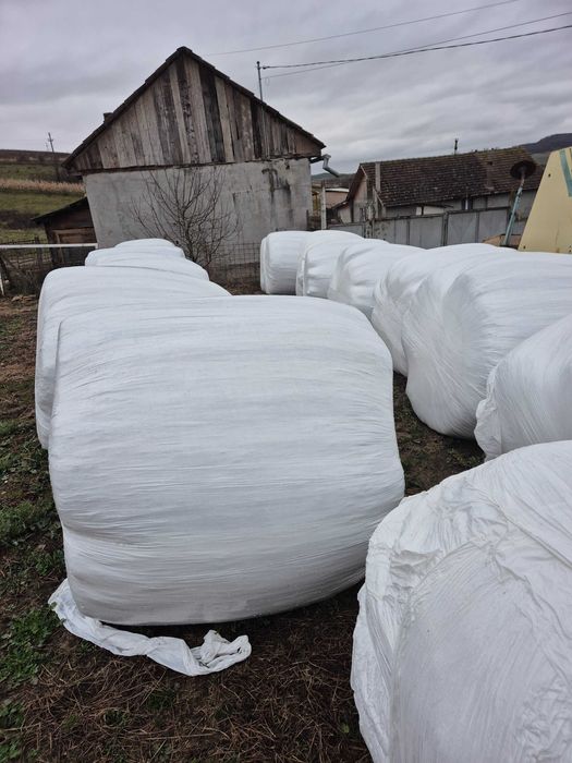 Vând baloți de lucernă  înfoliați 16 buc.