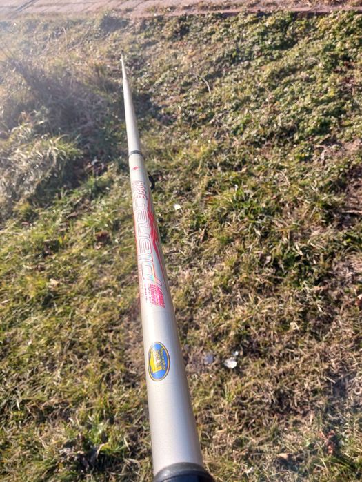 Дънна въфица,Lineaeffe