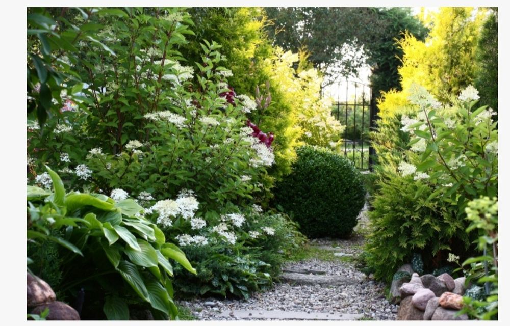 Для любителей цветов придлагаю "Биогумус" натуральные экологический чи