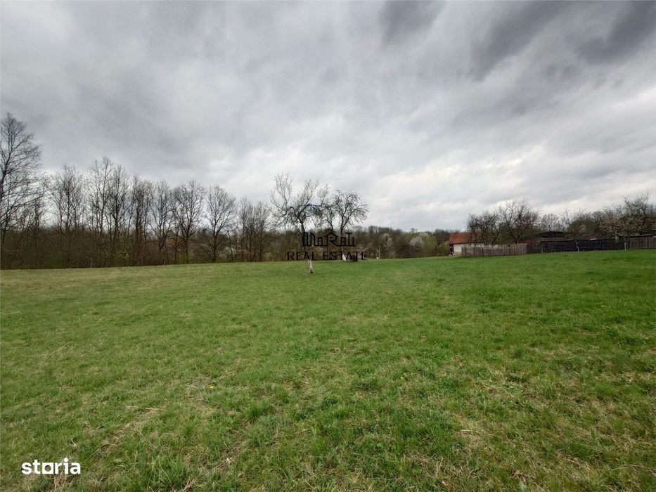 10 000 mp teren intravilan cu priveliste