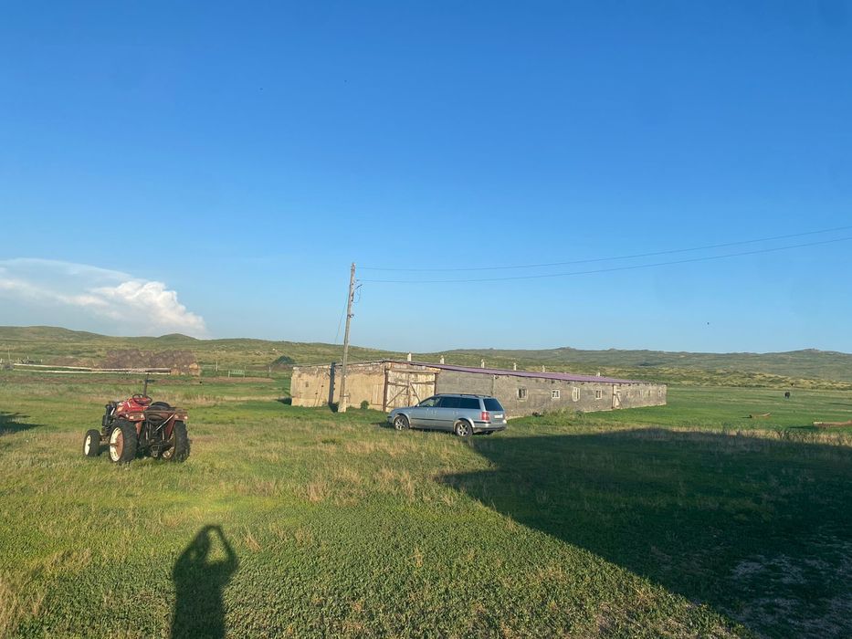 Продам крестьянское хозяйство