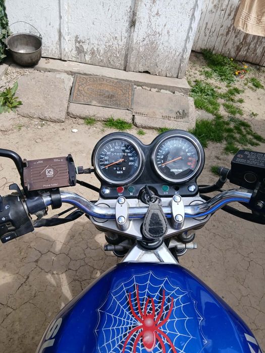 Suzuki gs 500 2001