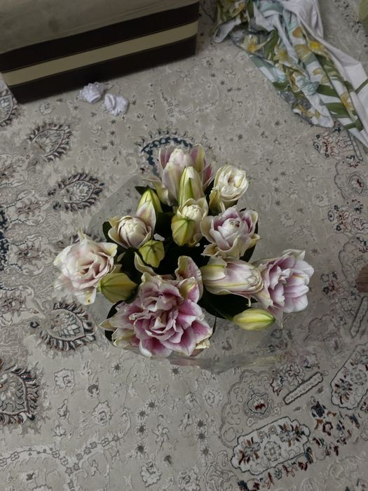 Лилия свежий.