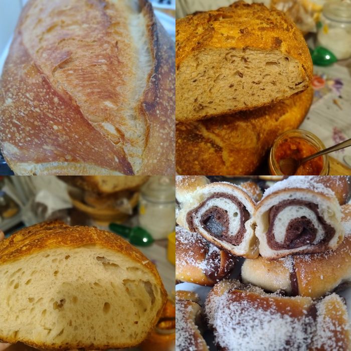 Vand maia activa proaspata si uscata