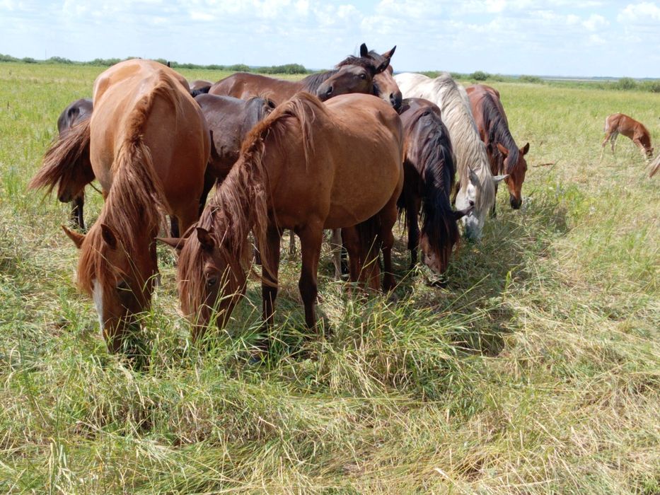 Срочно продаётся.
