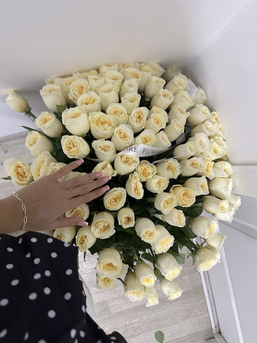 51 белые розы новый