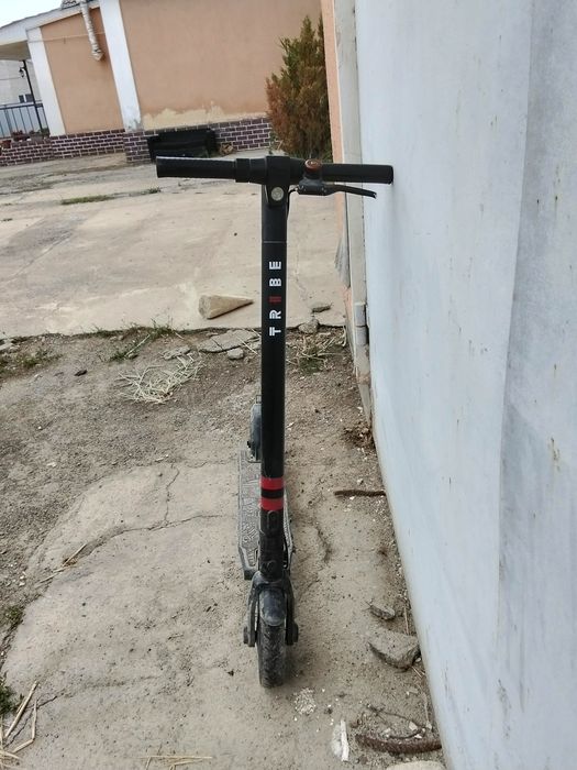 Салауат электрический