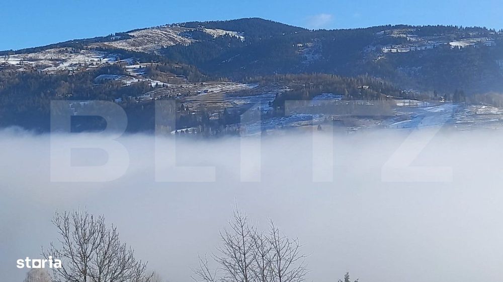 Teren de vanzare in Muntii Apuseni – 10.831 mp, zona montana Horea