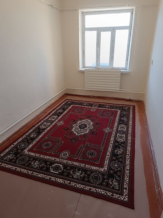 Агро колеж ишинде жайласган