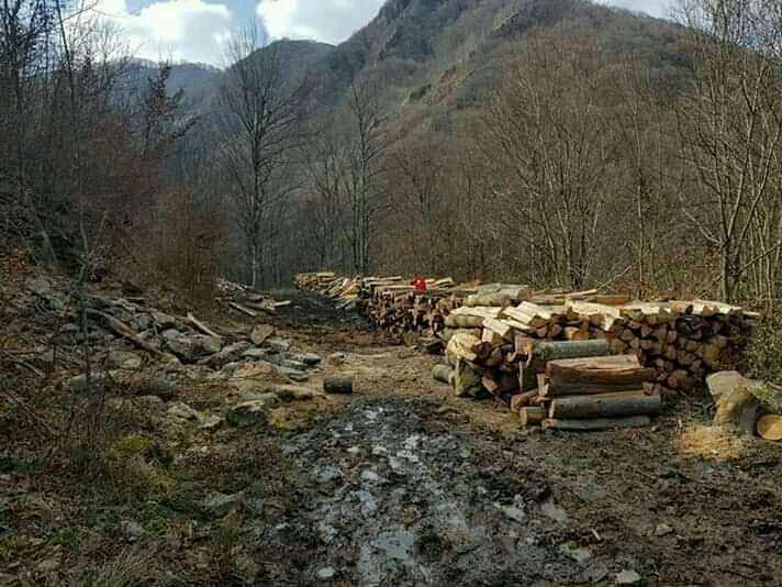 Дърва за огрев!!!