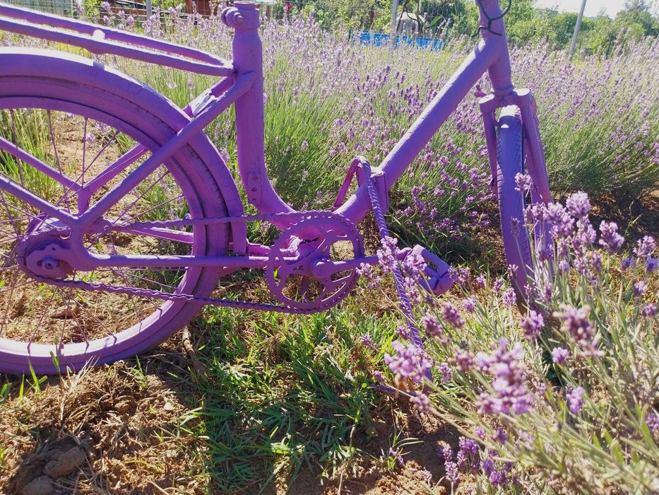 Inchiriere casa de vacanta zona superba Iedera Dambovita