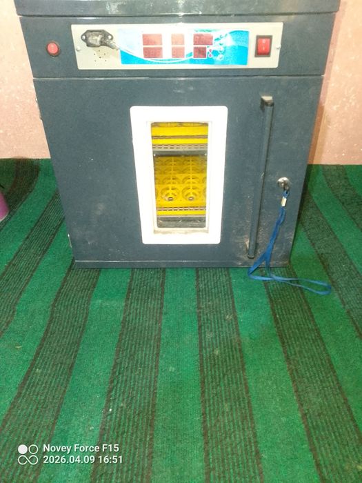 Inkubator qutisi