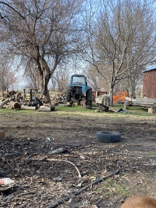 80 трактор мтз