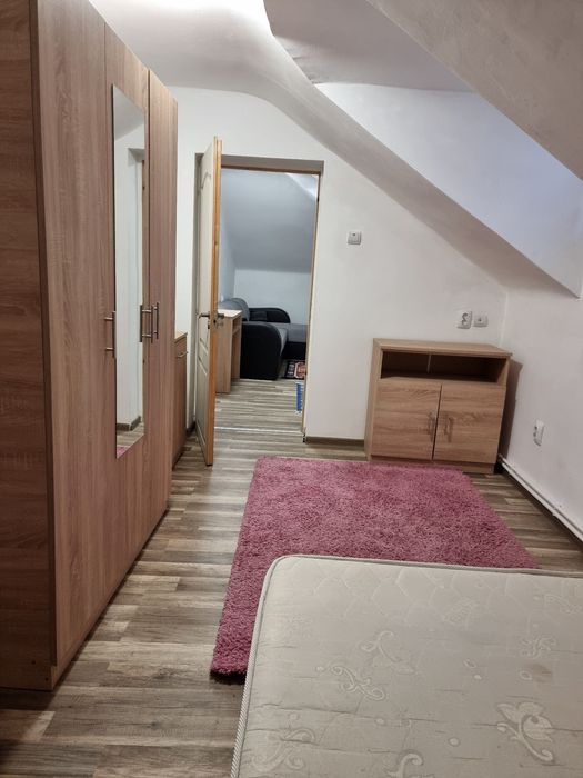 Vând apartament si o minigarsoniera pe Aleea Parcului la mansarda