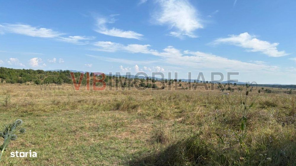 Baicoi/ Saramura/Teren investitie 7500 mp/ d_68