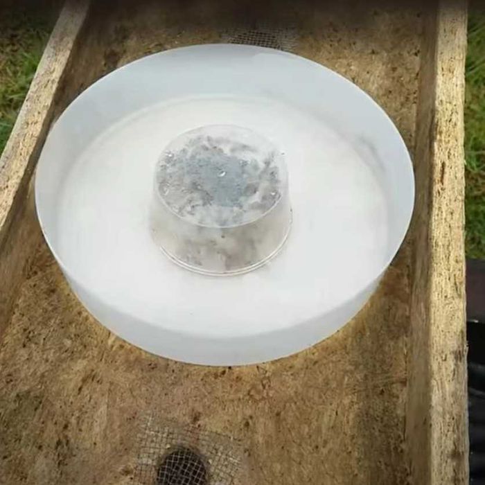 Пчелна поилка за пчелни кошери пити с мед пчелен прашец