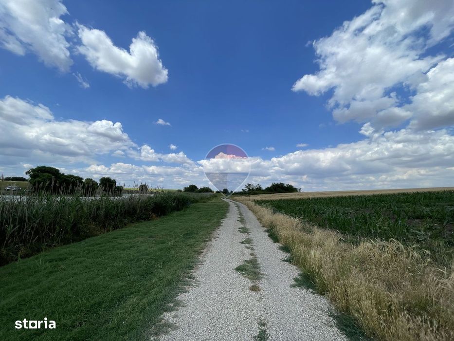 Teren 4.350 mp langa Balta Pasarea, Frumusani
