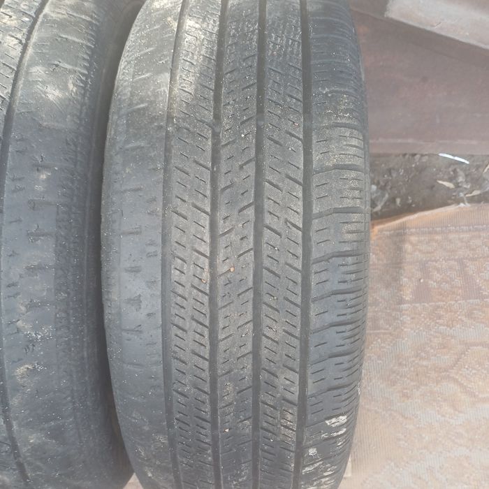 Летняя Соntinental R16