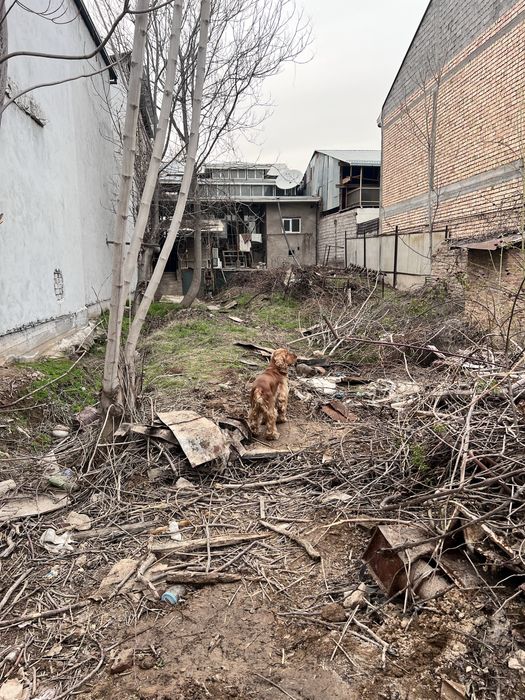 Дрова  большой объем , даром