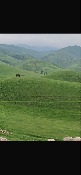 Участок фазенда сатылады