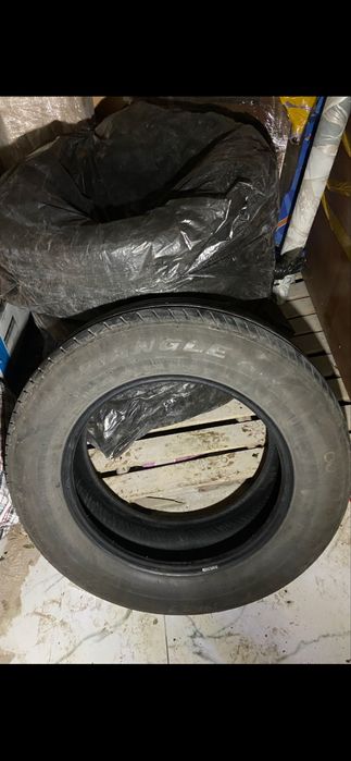 Летние шины Triangle