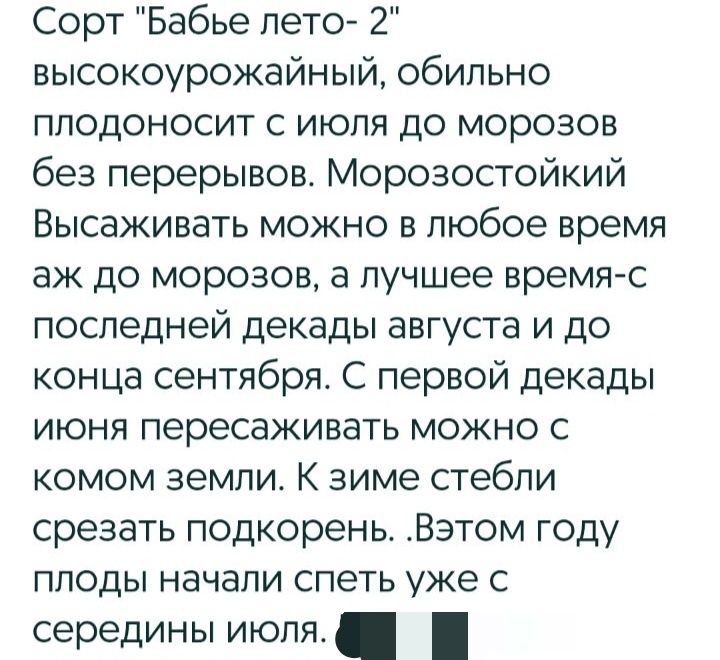 Ремонтантная малина дешево