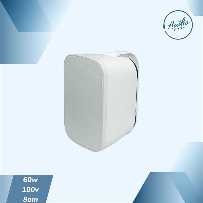 Пассивная всепогодная настенная колонка 40w