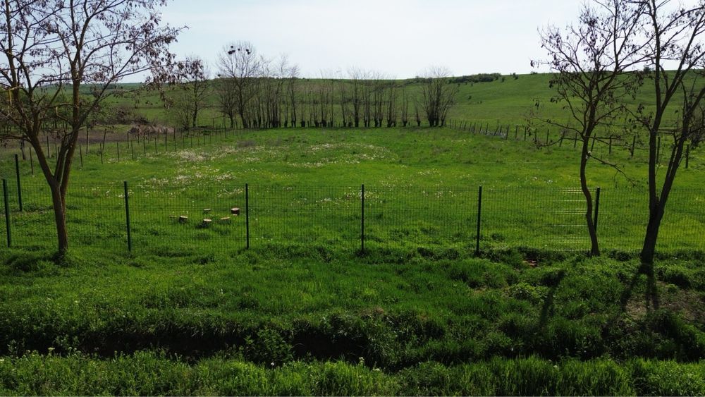 Teren intravilan Ianova 1508mp. Parcelabil