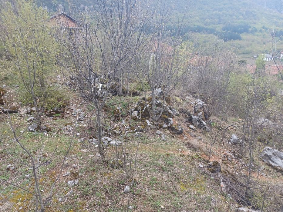 Продава се Парцел в с. Паволче, Област Враца - 2365 кв.м за 20 €/кв.м - Снимка #6