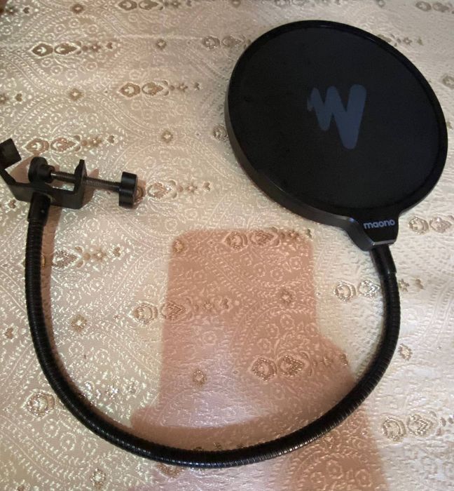 Микрофон: AKG P120