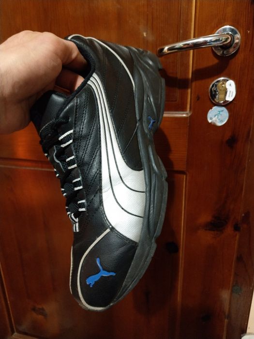 Puma 43нм. 28,0см.