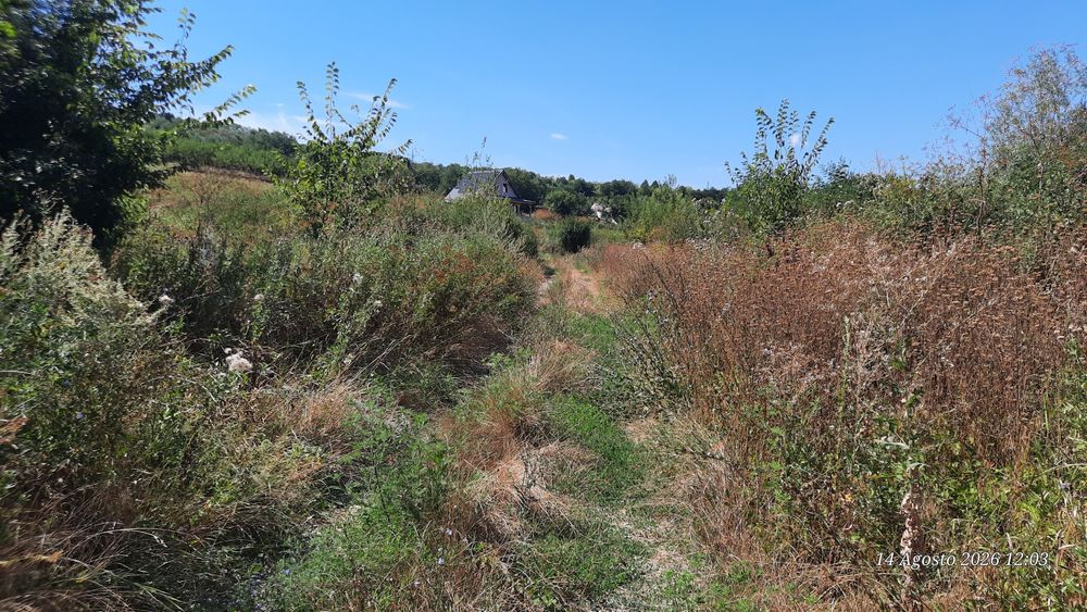 Teren 10000mp in Tomesti