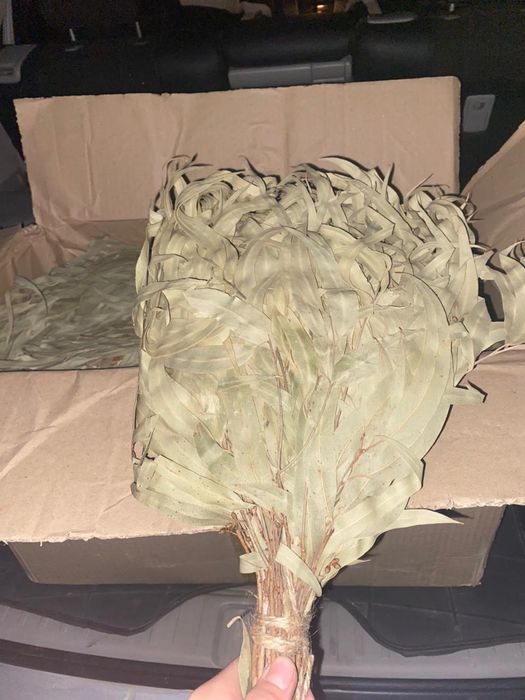 Банные веники