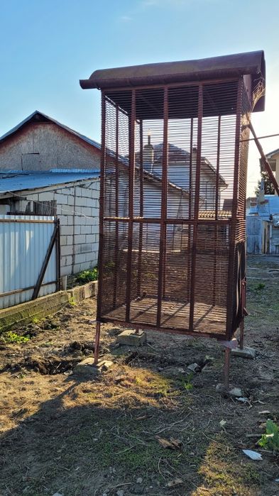 Leasa de porump știuleți